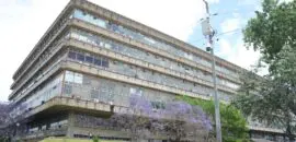 Ciudad universitaria