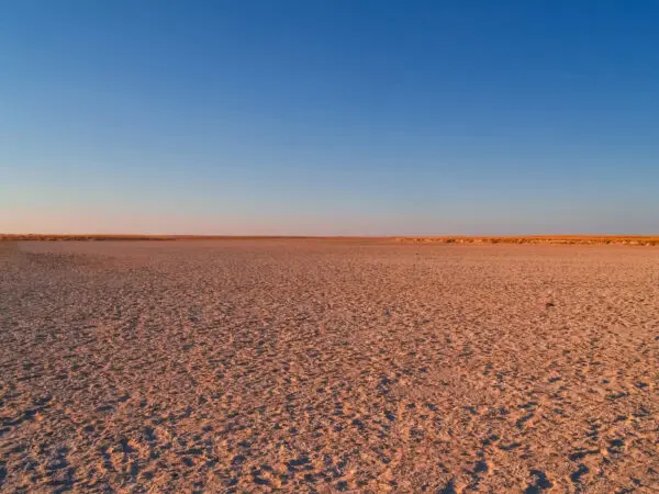 Parque nacional Makgadikgadi Pans, en Botsuana. Foto: Depositphotos.